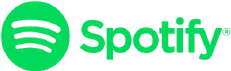 Streaming Option Logo