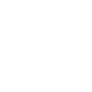 WulfenBear Media Logo